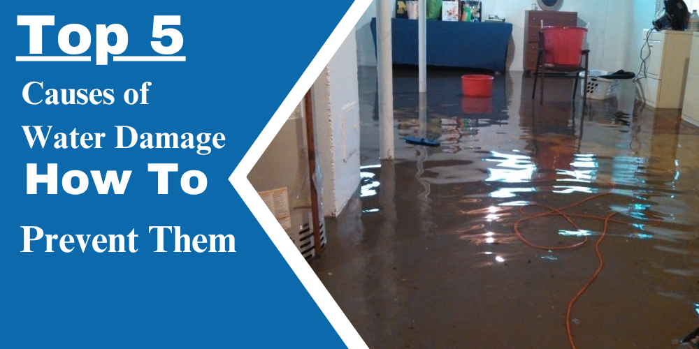 Top 5 Causes of Water Damage and How to Prevent Them (1)