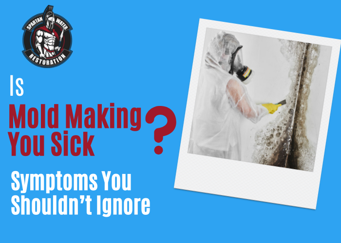 Is Mold Making You Sick Symptoms You Shouldn’t Ignore