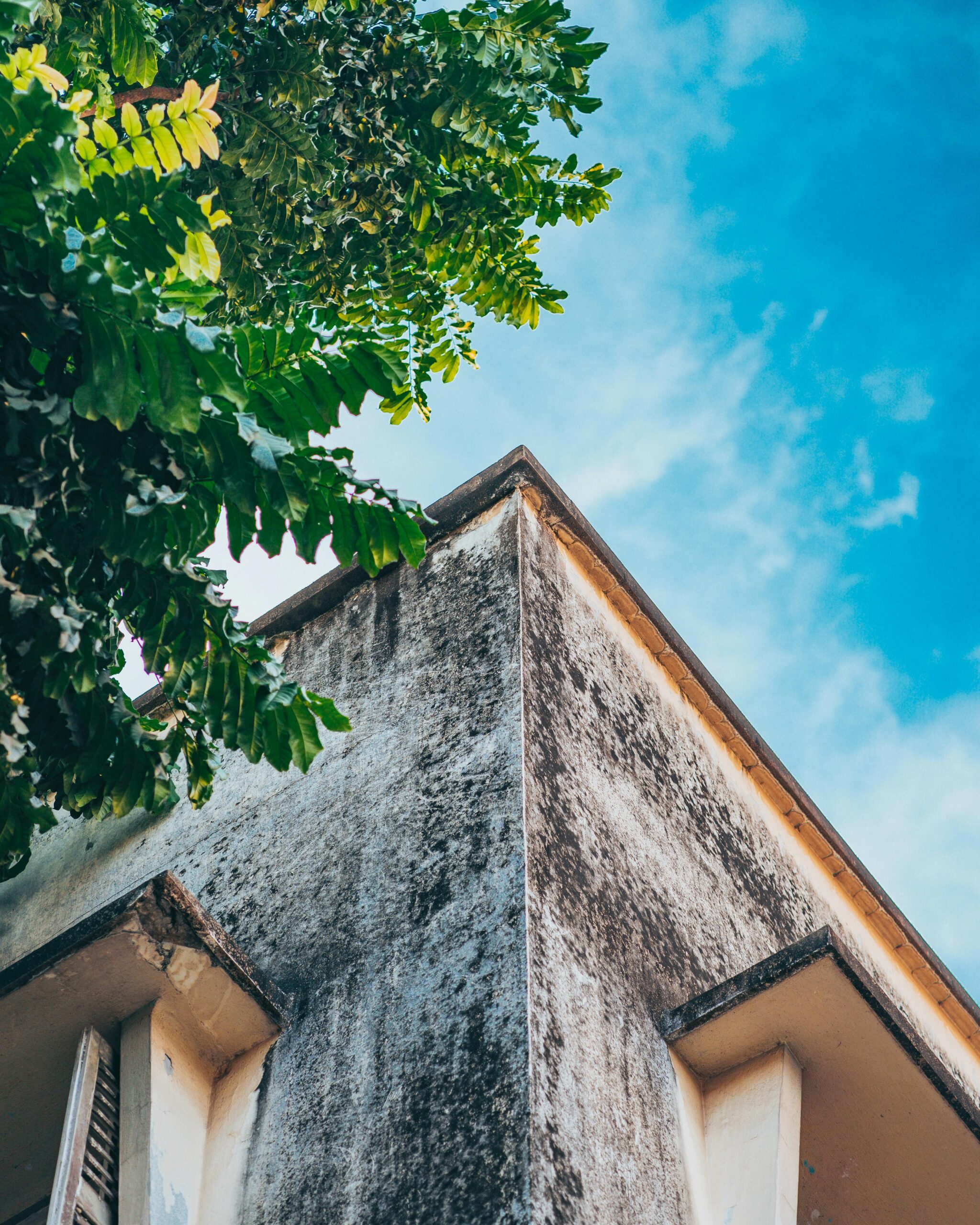 Is It Unhealthy to Live in a House with Mold?